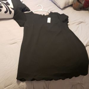 BRAND NEW francescas dress!